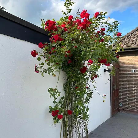 Wolfenbuettler * Wolfenbüttel